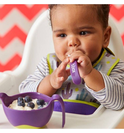 Bbox - Śliniak w saszetce - Cactus Capers | BB00592